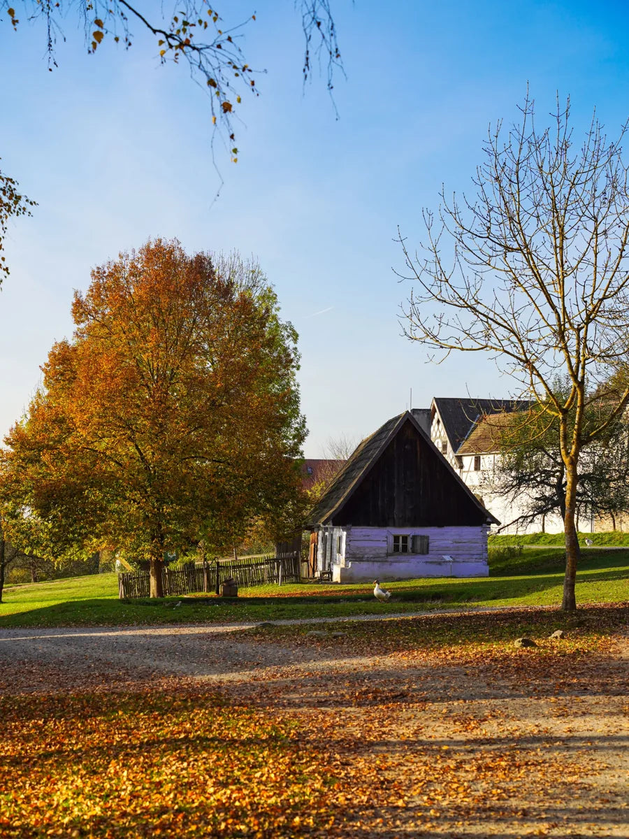 Small Things Near Us: October 22 to 28
