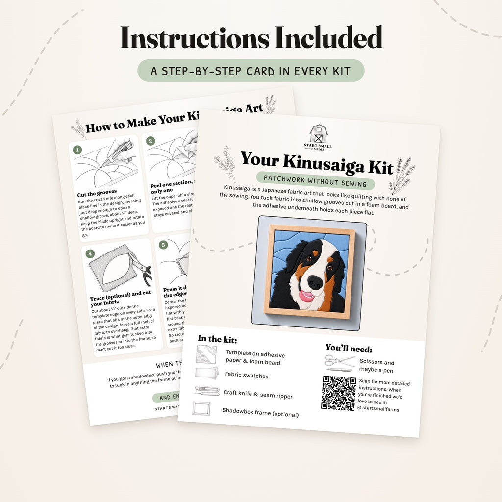 The step-by-step card that comes with the pet portrait kit, front and back: what's in the kit, what you'll need, and six illustrated steps.